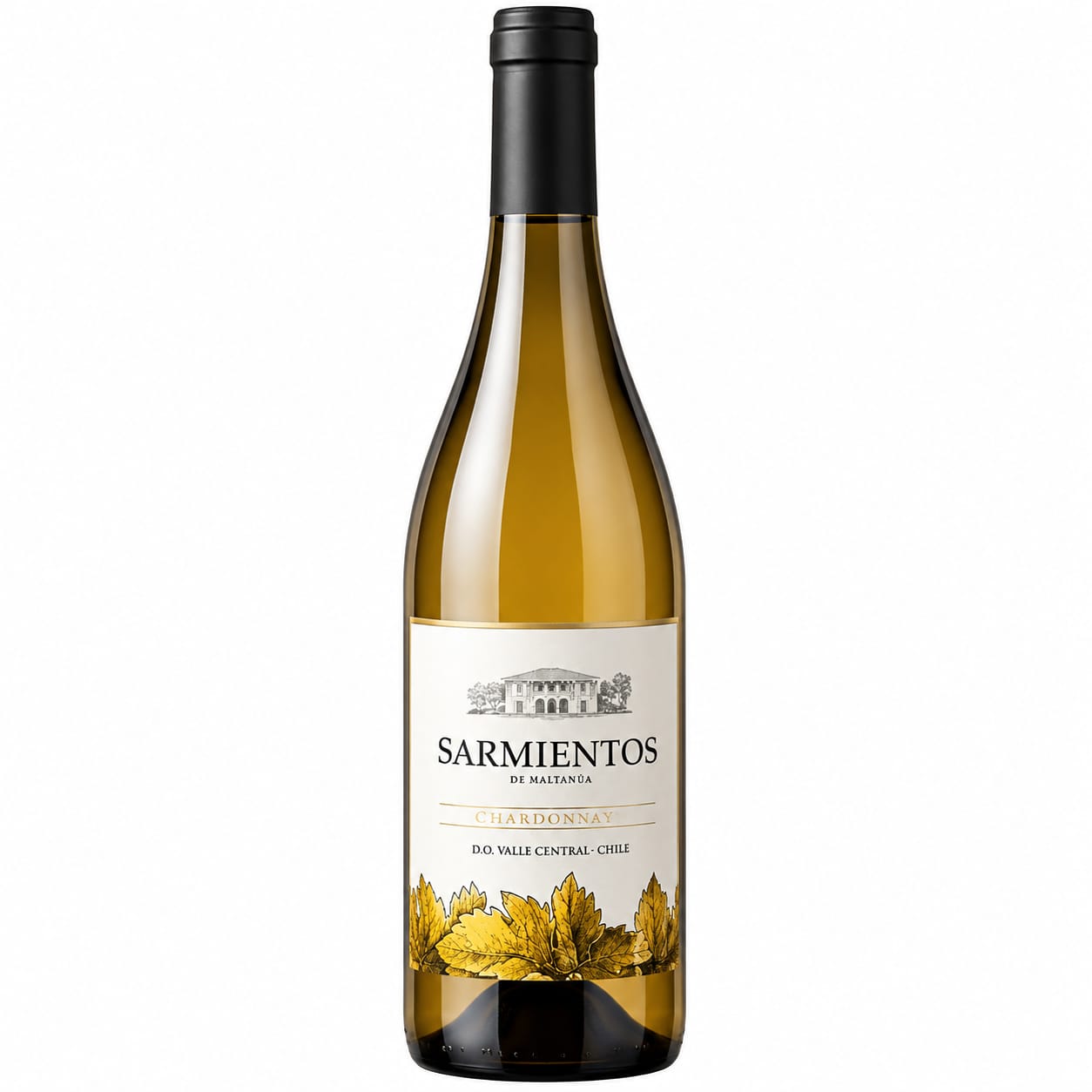 Sarmientos White Wine