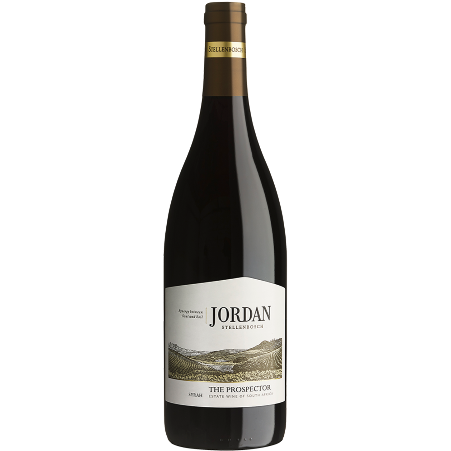 Jordan Stellenbosch